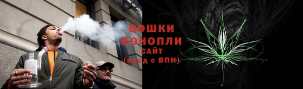PSILOCYBIN Киренск
