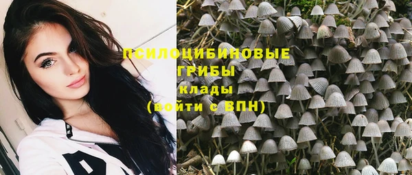 PSILOCYBIN Киренск