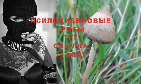 ALPHA-PVP Киреевск