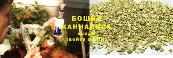 PSILOCYBIN Киренск
