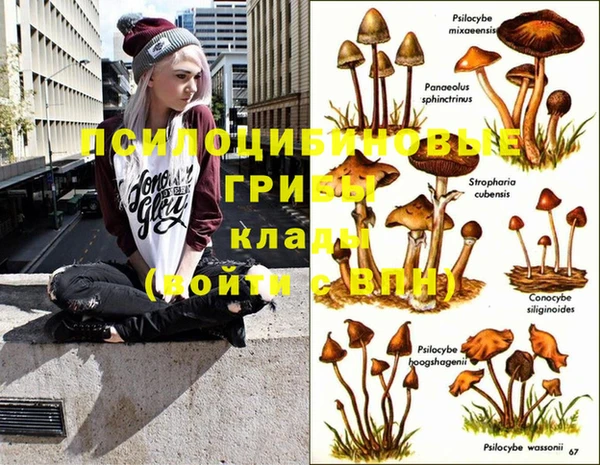 прущая мука Кинешма