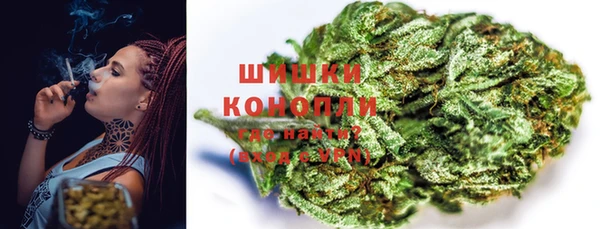 PSILOCYBIN Киренск