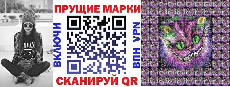 где можно купить наркотик  Королёв  Марки 25I-NBOMe 1,8мг 