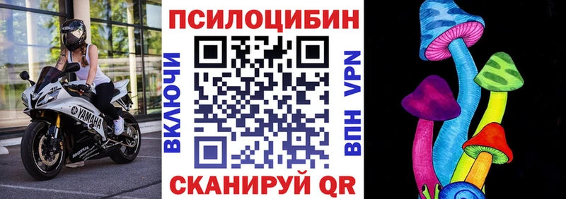 купить наркотики цена  Королёв  Галлюциногенные грибы мухоморы 